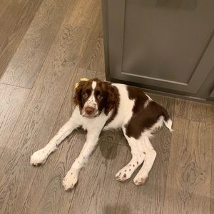 Meet your Posher, Emma